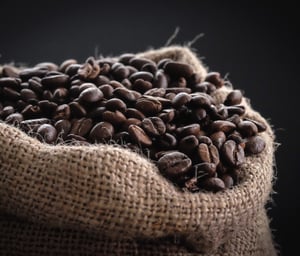 Ethiopia Aricha Brewing