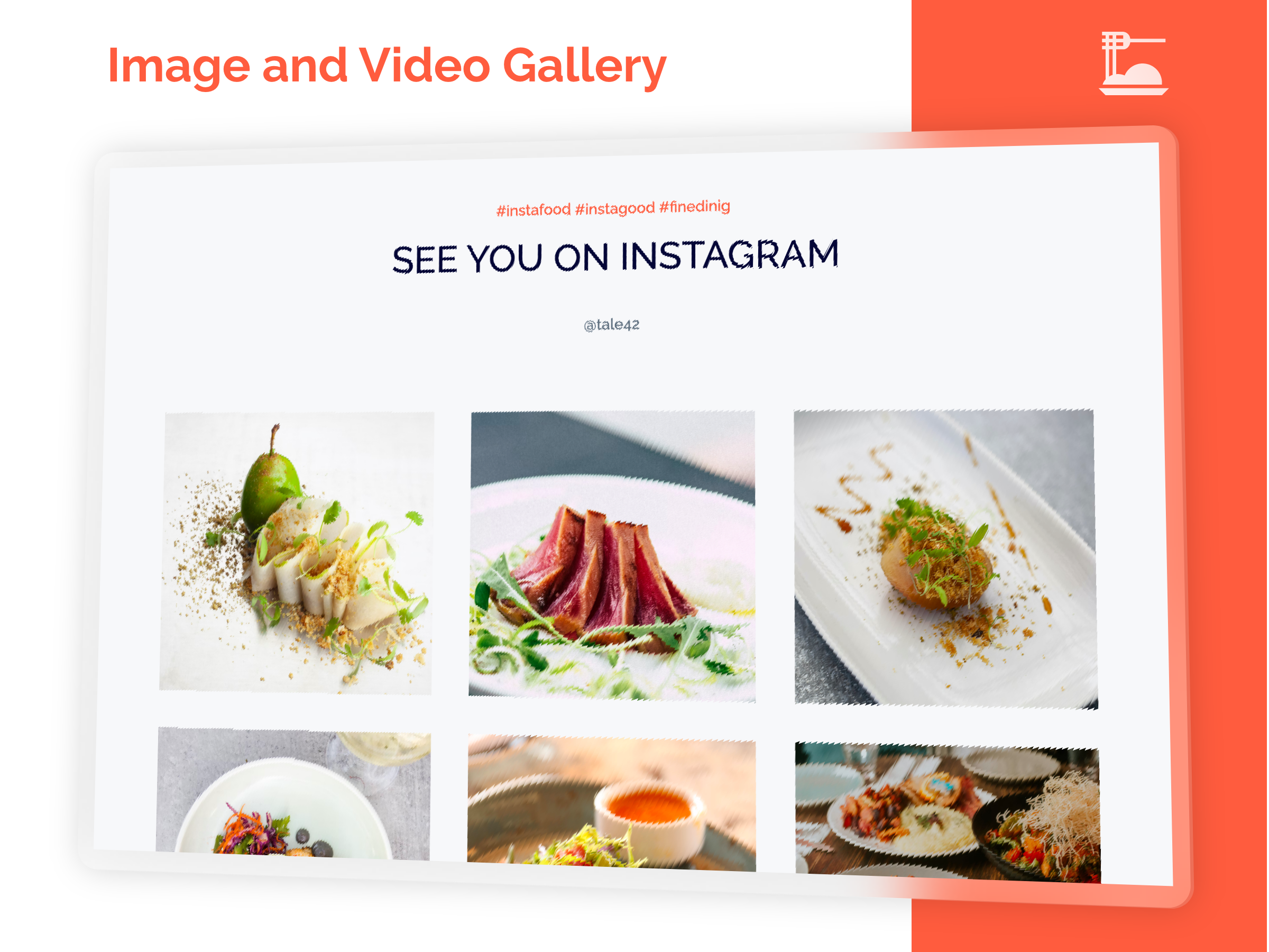 Image and Video Gallery